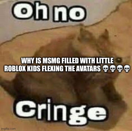 oH nO cRInGe | WHY IS MSMG FILLED WITH LITTLE ROBLOX KIDS FLEXING THE AVATARS 💀💀💀💀 | image tagged in oh no cringe | made w/ Imgflip meme maker