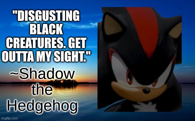 DISGUSTING BLACK CREATURES. GET OUT OF MY SIGHT. (hero mission complete) | "DISGUSTING BLACK CREATURES. GET OUTTA MY SIGHT."; ~Shadow the Hedgehog | image tagged in inspirational quote | made w/ Imgflip meme maker