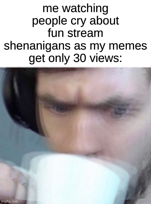 bruh pls stop it | me watching people cry about fun stream shenanigans as my memes get only 30 views: | image tagged in concerned sean intensifies,memes | made w/ Imgflip meme maker