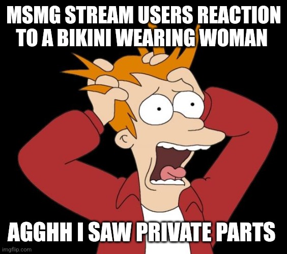 panic attack | MSMG STREAM USERS REACTION TO A BIKINI WEARING WOMAN; AGGHH I SAW PRIVATE PARTS | image tagged in panic attack | made w/ Imgflip meme maker