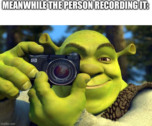 shrek camera | MEANWHILE THE PERSON RECORDING IT: | image tagged in shrek camera | made w/ Imgflip meme maker
