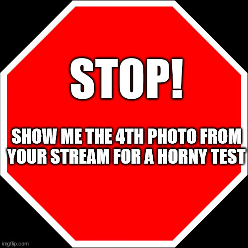 Horny check cause y'all need one | STOP! SHOW ME THE 4TH PHOTO FROM YOUR STREAM FOR A HORNY TEST | image tagged in blank stop sign | made w/ Imgflip meme maker