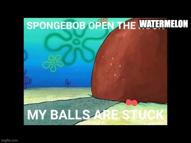 SpongeBob open the rock my balls are stuck | WATERMELON | image tagged in spongebob open the rock my balls are stuck | made w/ Imgflip meme maker