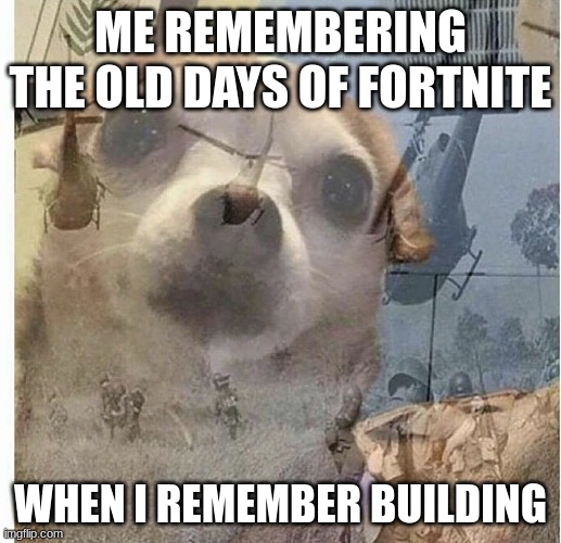 Its true | ME REMEMBERING THE OLD DAYS OF FORTNITE; WHEN I REMEMBER BUILDING | image tagged in ptsd chihuahua | made w/ Imgflip meme maker