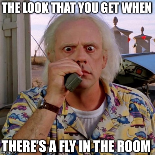 Doc back to the future | THE LOOK THAT YOU GET WHEN; THERE’S A FLY IN THE ROOM | image tagged in doc back to the future | made w/ Imgflip meme maker