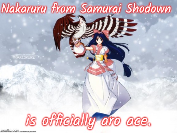 At the end of battles some players think that she is laughing, but she's talking to her hawk named Mamahaha. | Nakaruru from Samurai Shodown; is officially aro ace. | image tagged in video games,tournament,historical,japan | made w/ Imgflip meme maker