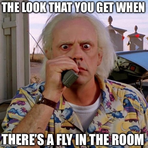 image tagged in doc brown | made w/ Imgflip meme maker