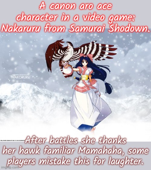 She is a shaman of the Ainu People from Northern Japan. | A canon aro ace character in a video game: Nakaruru from Samurai Shodown. After battles she thanks her hawk familiar Mamahaha, some players mistake this for laughter. | image tagged in nakaruru and mamahaha,japanese,history,videogames,pagan | made w/ Imgflip meme maker