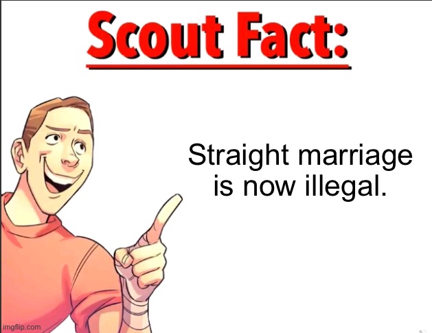 this is a cry for help, i need my father figure again, this is a /j i love straight marriage | Straight marriage is now illegal. | image tagged in scout fact | made w/ Imgflip meme maker