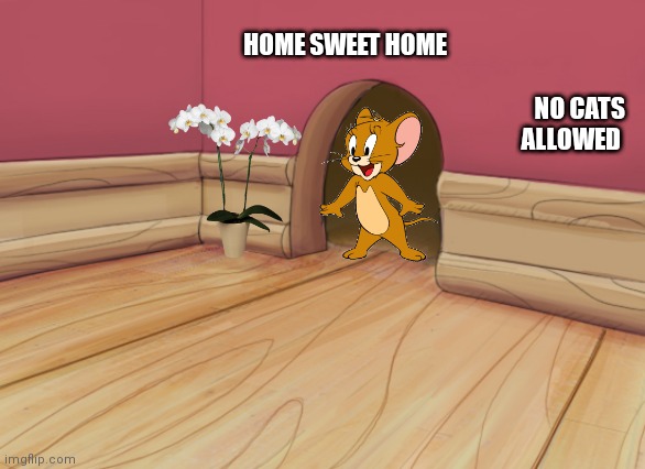 Home Sweet Home | HOME SWEET HOME; NO CATS
ALLOWED | image tagged in funny memes | made w/ Imgflip meme maker