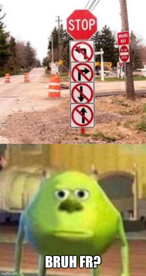 BRUH FR? | image tagged in mike monster inc bruh meme,dumb signs | made w/ Imgflip meme maker