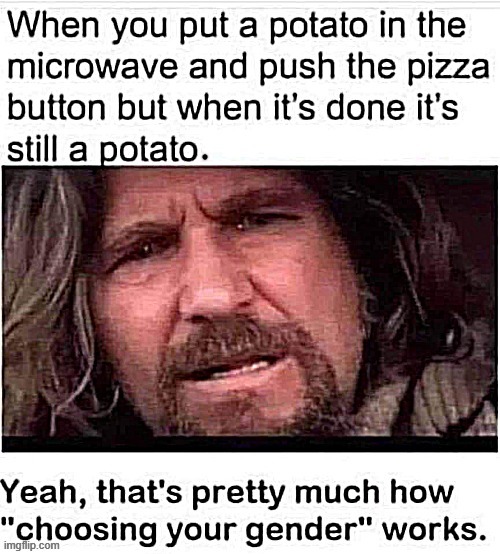 MIcrowave cooking | image tagged in mr potato head | made w/ Imgflip meme maker