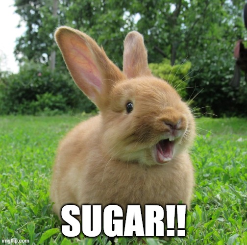 Happy bunny | SUGAR!! | image tagged in funny,bunny,easter | made w/ Imgflip meme maker