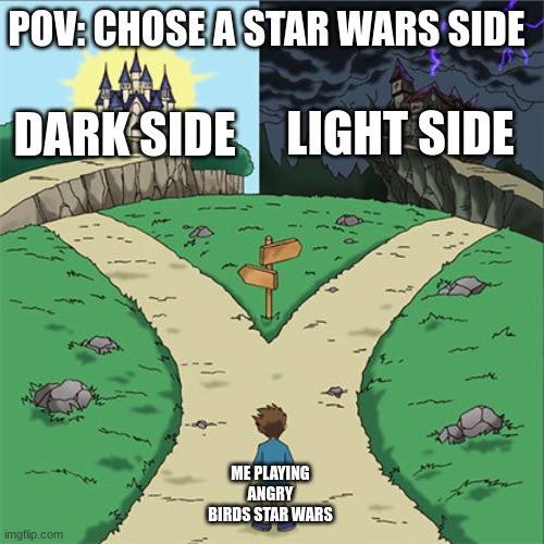 If you played the game you would understand | POV: CHOSE A STAR WARS SIDE; LIGHT SIDE; DARK SIDE; ME PLAYING ANGRY BIRDS STAR WARS | image tagged in two paths,star wars,funny,funny memes,relatable,childhood | made w/ Imgflip meme maker