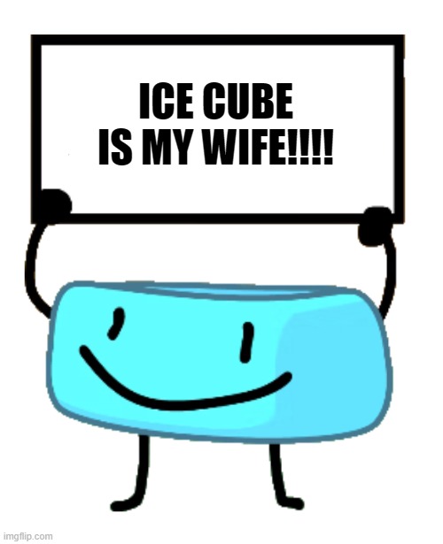 Bracelety be like. | ICE CUBE IS MY WIFE!!!! | image tagged in bracelety sign,memes,bfdi,bfb,tpot | made w/ Imgflip meme maker