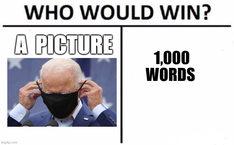 Who Would Win? | A  PICTURE; 1,000
WORDS | image tagged in memes,who would win | made w/ Imgflip meme maker
