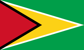 High Quality Guyana Blank Meme Template