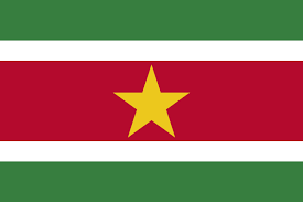 High Quality Suriname Blank Meme Template