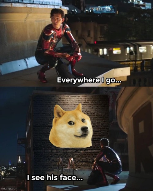 Everywhere I go I see his face | image tagged in everywhere i go i see his face,funny,memes,doge | made w/ Imgflip meme maker