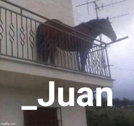 Juan | _Juan | image tagged in juan | made w/ Imgflip meme maker