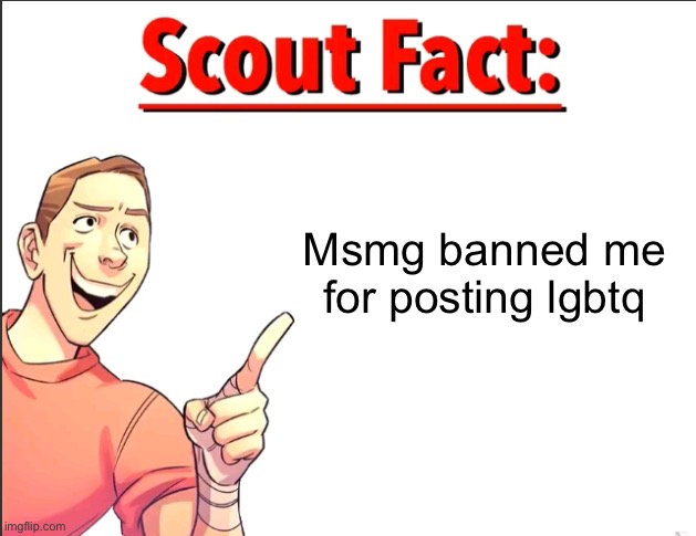 Imma post here until i am unbanned | Msmg banned me for posting lgbtq | image tagged in scout fact | made w/ Imgflip meme maker