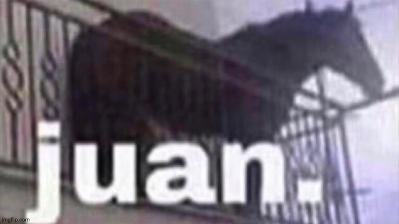 Juan horse | image tagged in juan horse | made w/ Imgflip meme maker