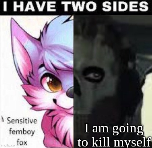 I have two sides | I am going to kill myself | image tagged in i have two sides | made w/ Imgflip meme maker