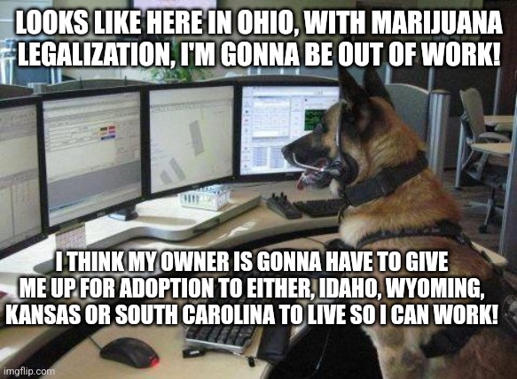 police dog | LOOKS LIKE HERE IN OHIO, WITH MARIJUANA LEGALIZATION, I'M GONNA BE OUT OF WORK! I THINK MY OWNER IS GONNA HAVE TO GIVE ME UP FOR ADOPTION TO EITHER, IDAHO, WYOMING, KANSAS OR SOUTH CAROLINA TO LIVE SO I CAN WORK! | image tagged in police dog | made w/ Imgflip meme maker