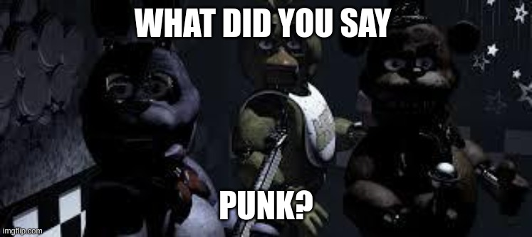 FNAF Camera All Stare | WHAT DID YOU SAY PUNK? | image tagged in fnaf camera all stare | made w/ Imgflip meme maker