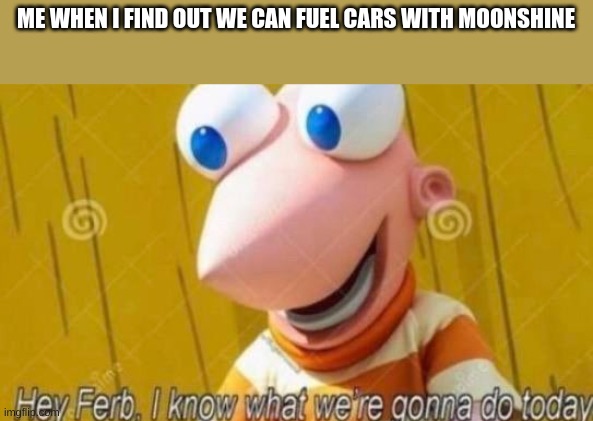 my context | ME WHEN I FIND OUT WE CAN FUEL CARS WITH MOONSHINE | image tagged in hey ferb | made w/ Imgflip meme maker
