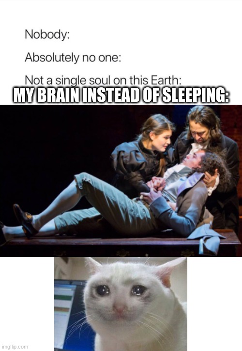 This keeps me awake | MY BRAIN INSTEAD OF SLEEPING: | image tagged in nobody absolutely no one,hamilton,crying cat | made w/ Imgflip meme maker