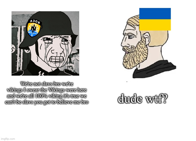 as much as I support Ukraine, Azov is a literal joke | We're not slavs bro we're vikings I swear the Vikings were here and we're all 100% viking it's true we can't be slavs you got to believe me bro; dude wtf? | image tagged in blank white template | made w/ Imgflip meme maker