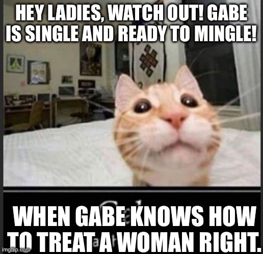 Goofy ass ai | HEY LADIES, WATCH OUT! GABE IS SINGLE AND READY TO MINGLE! WHEN GABE KNOWS HOW TO TREAT A WOMAN RIGHT. | image tagged in gabe | made w/ Imgflip meme maker