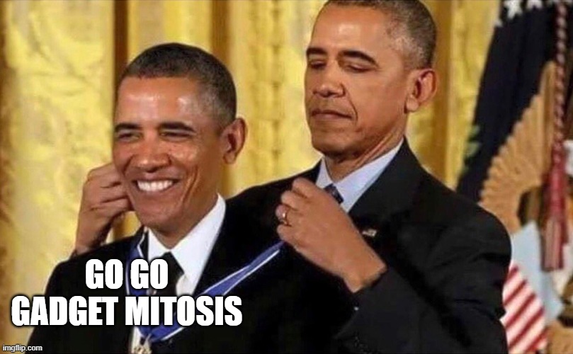 =p | GO GO GADGET MITOSIS | image tagged in obama medal | made w/ Imgflip meme maker