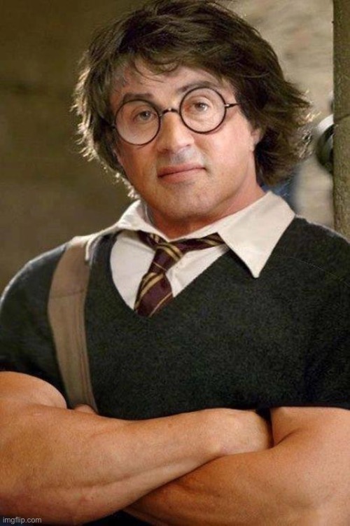 Cursed Harry Potter | image tagged in do you even,harry potter,cursed | made w/ Imgflip meme maker