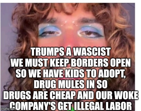 Mental patients running the asylum | TRUMPS A WASCIST WE MUST KEEP BORDERS OPEN SO WE HAVE KIDS TO ADOPT, DRUG MULES IN SO DRUGS ARE CHEAP AND OUR WOKE COMPANY'S GET ILLEGAL LABOR | made w/ Imgflip meme maker