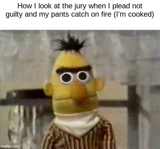 shitpost | How I look at the jury when I plead not guilty and my pants catch on fire (I'm cooked) | image tagged in bert stare | made w/ Imgflip meme maker