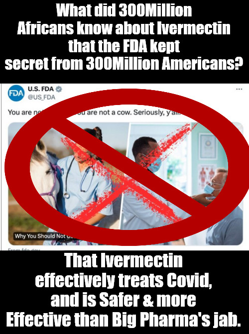 When the FDA killed Granny | What did 300Million Africans know about Ivermectin that the FDA kept secret from 300Million Americans? That Ivermectin effectively treats Covid,
and is Safer & more Effective than Big Pharma's jab. | image tagged in memes,poloyics,covid | made w/ Imgflip meme maker