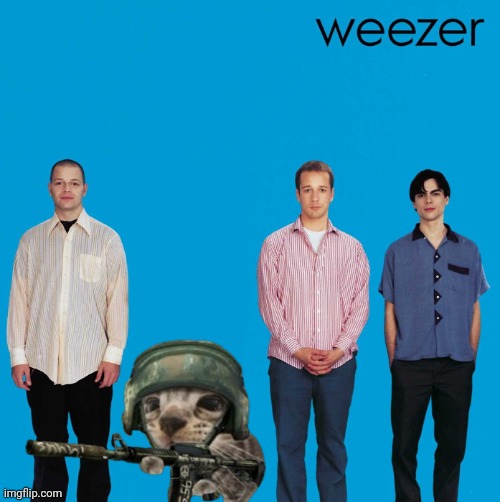 weezer | image tagged in self-insert weezer | made w/ Imgflip meme maker