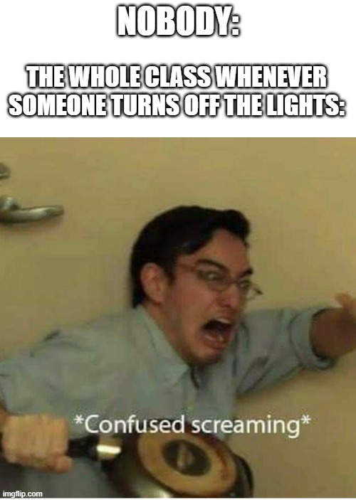 I Had a Power Outage at School Today and this is What Happened | NOBODY:; THE WHOLE CLASS WHENEVER SOMEONE TURNS OFF THE LIGHTS: | image tagged in confused screaming | made w/ Imgflip meme maker