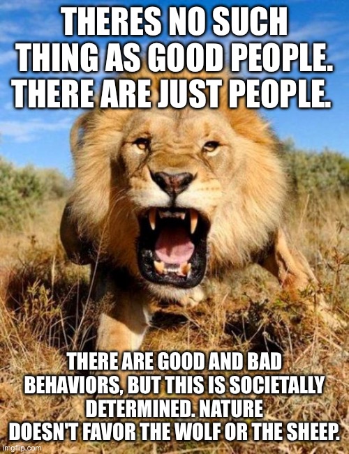 lion | THERES NO SUCH THING AS GOOD PEOPLE. THERE ARE JUST PEOPLE. THERE ARE GOOD AND BAD BEHAVIORS, BUT THIS IS SOCIETALLY DETERMINED. NATURE DOESN'T FAVOR THE WOLF OR THE SHEEP. | image tagged in lion | made w/ Imgflip meme maker