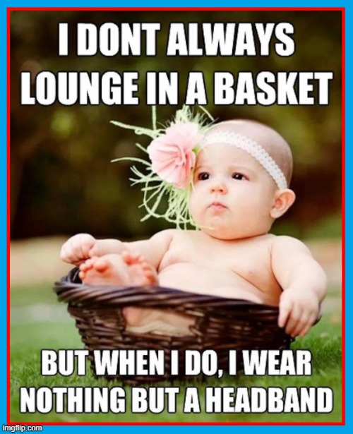 Baby in a Basket | image tagged in vince vance,babies,baby,basket,pretty baby,memes | made w/ Imgflip meme maker