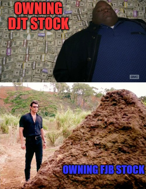 Two Stocks | OWNING DJT STOCK; OWNING FJB STOCK | image tagged in guy sleeping on pile of money,memes poop jurassic park | made w/ Imgflip meme maker