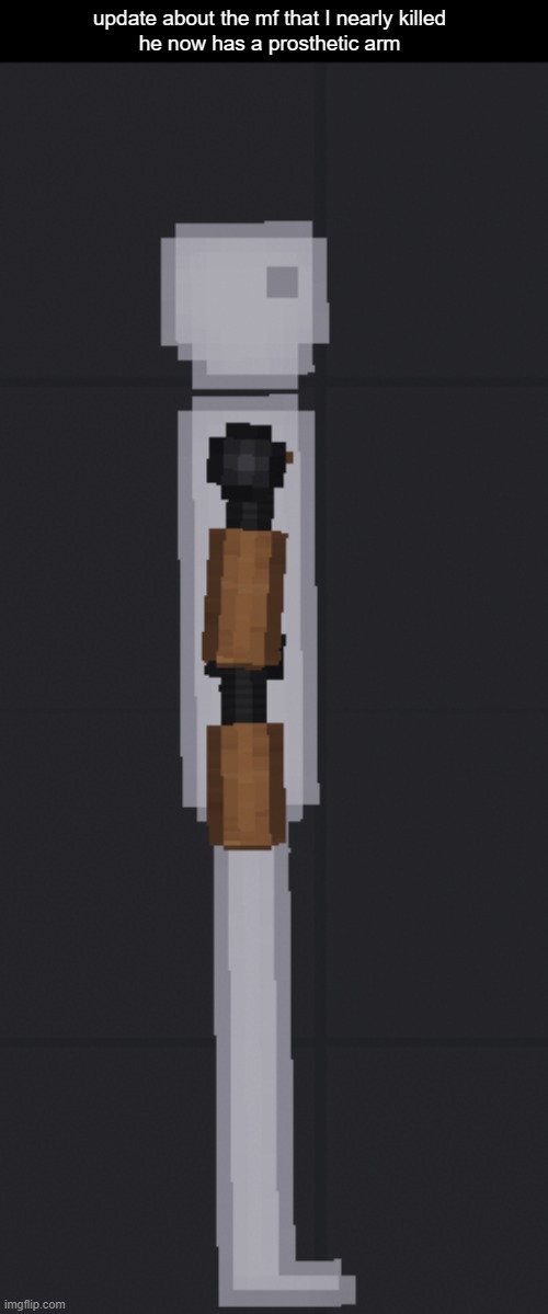 update about the mf that I nearly killed
he now has a prosthetic arm | made w/ Imgflip meme maker