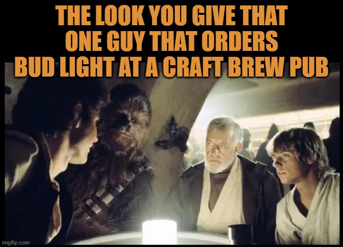 To each their own. Cheers! | THE LOOK YOU GIVE THAT ONE GUY THAT ORDERS BUD LIGHT AT A CRAFT BREW PUB | image tagged in beer,craft beer,cold beer here,star wars,awkward moment,the most interesting man in the world | made w/ Imgflip meme maker