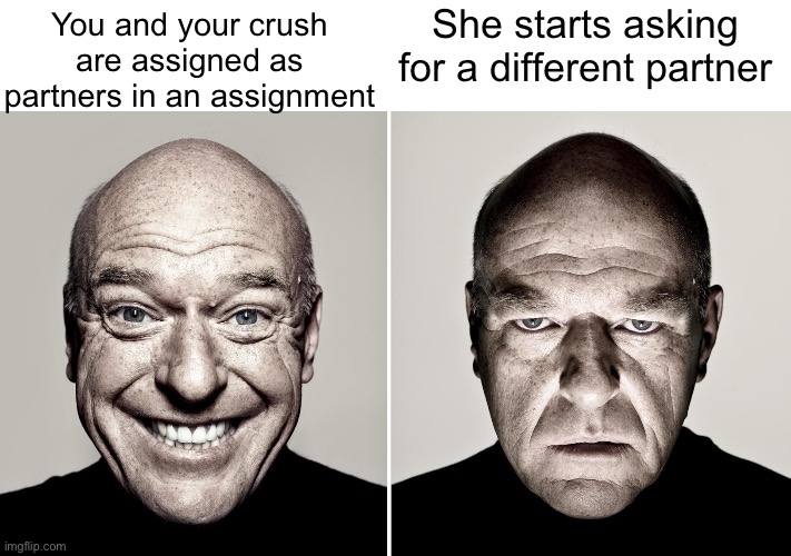 It’s all downhill from there | She starts asking for a different partner; You and your crush are assigned as partners in an assignment | image tagged in dean norris's reaction,memes,funny,school,when your crush | made w/ Imgflip meme maker