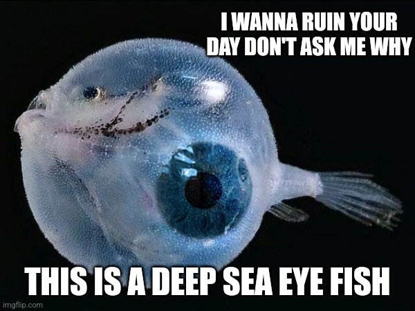 Your life now is ruined | I WANNA RUIN YOUR DAY DON'T ASK ME WHY; THIS IS A DEEP SEA EYE FISH | image tagged in memes,ruin your day,weird,fish | made w/ Imgflip meme maker