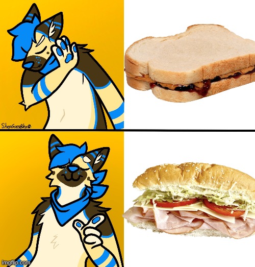 Sandwich superiority | image tagged in drake meme shep | made w/ Imgflip meme maker