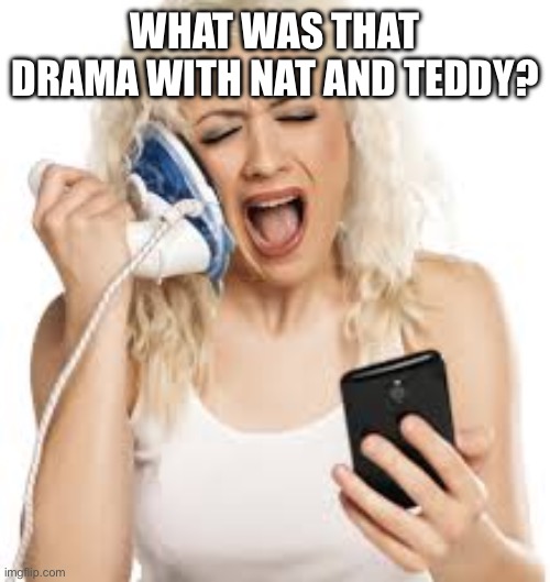 Hello? Hello? | WHAT WAS THAT DRAMA WITH NAT AND TEDDY? | image tagged in hello hello | made w/ Imgflip meme maker