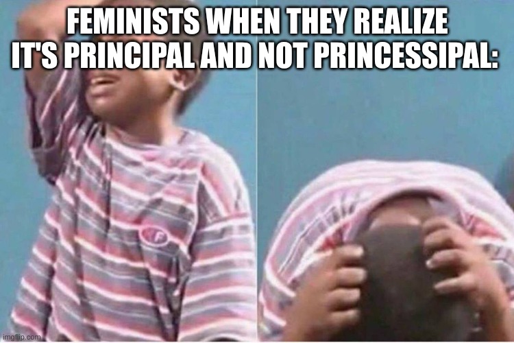 Crying kid | FEMINISTS WHEN THEY REALIZE IT'S PRINCIPAL AND NOT PRINCESSIPAL: | image tagged in crying kid | made w/ Imgflip meme maker
